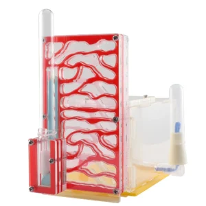 Ant Farm Science Kit - 3D Ant Observation Habitat