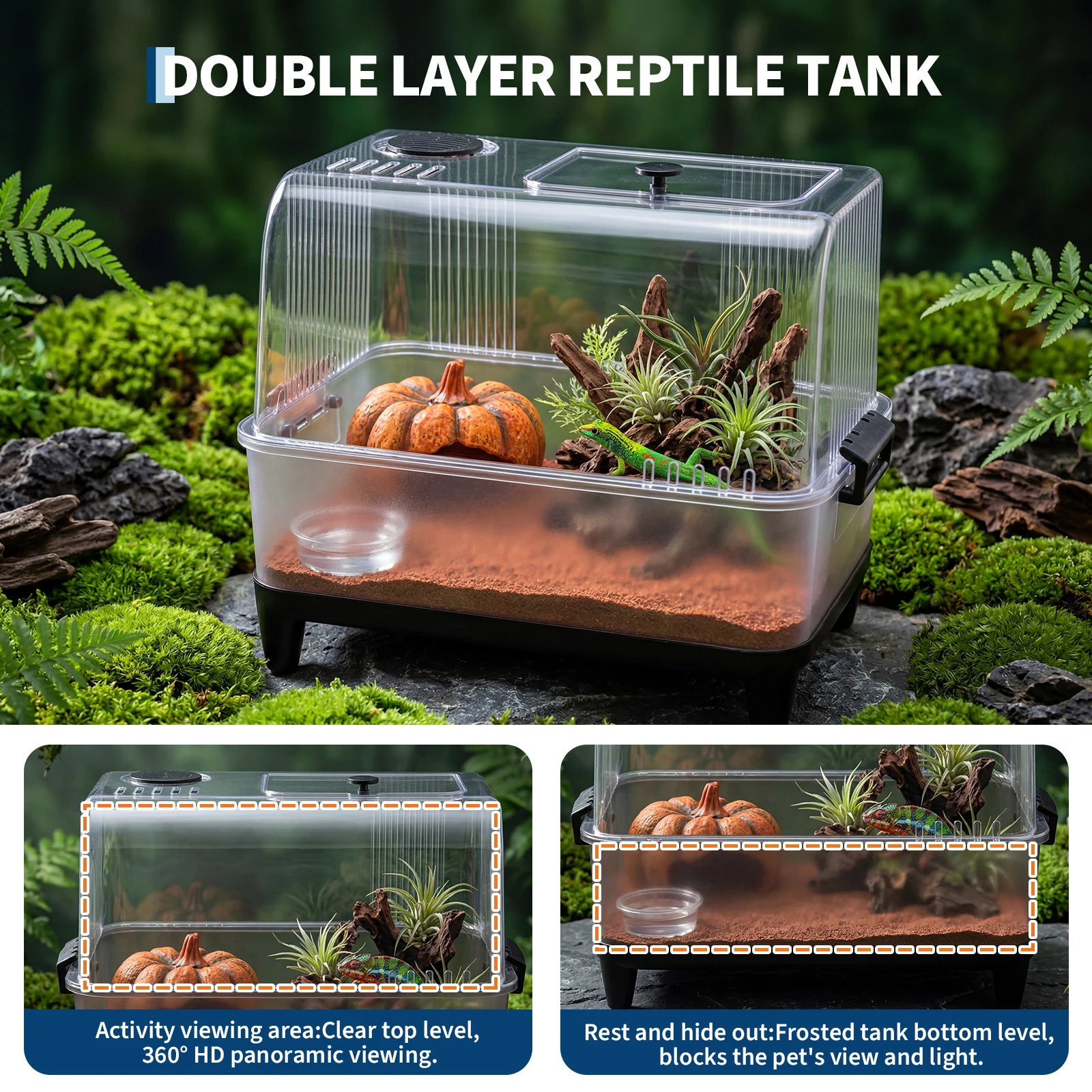 Mini Reptile Starter Habitat Kit - Small Pet Terrarium Mini Reptile Starter Habitat Kit - Small Pet Terrarium - Image 3