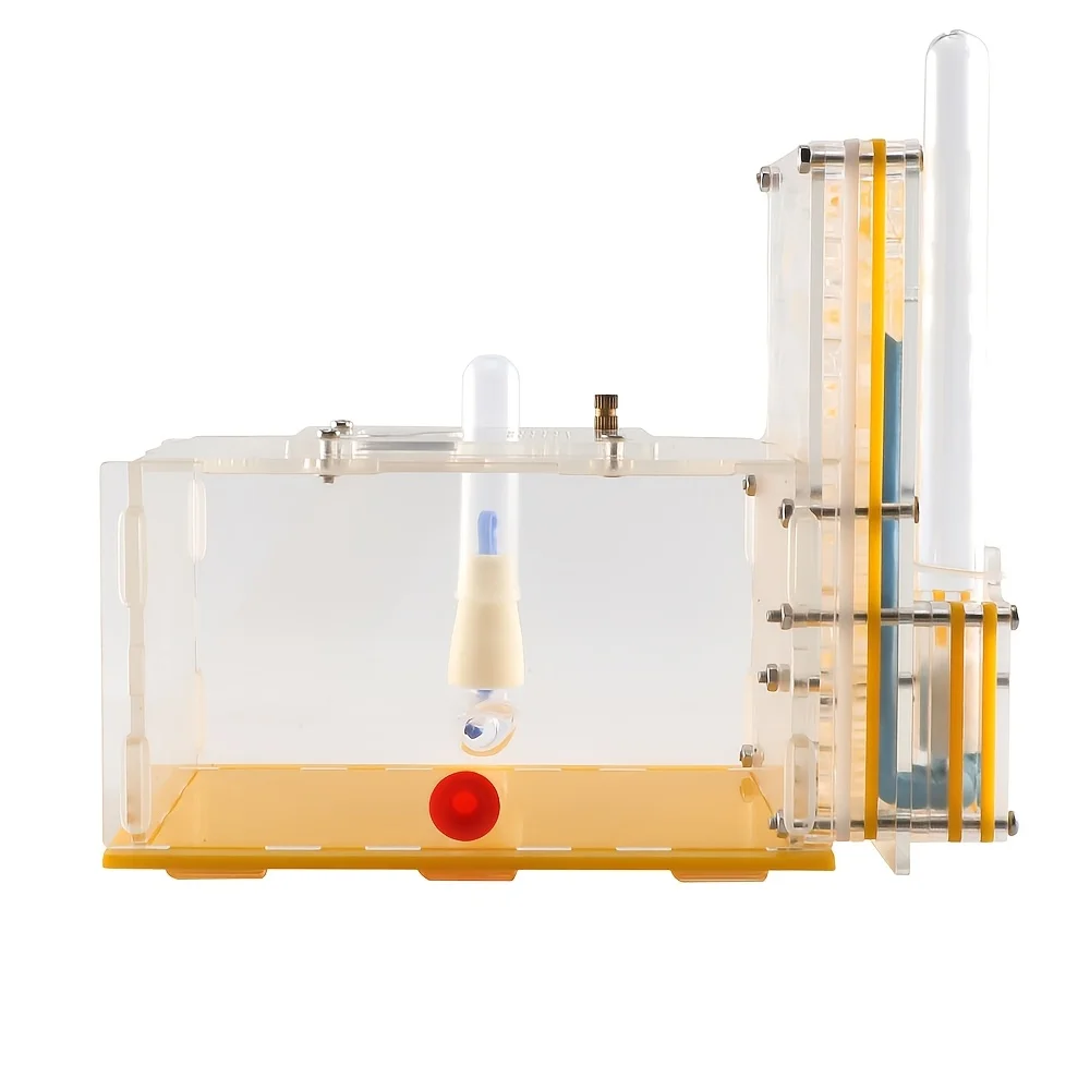 Ant Farm Science Kit - 3D Ant Observation Habitat Ant Farm Science Kit - 3D Ant Observation Habitat - Image 3