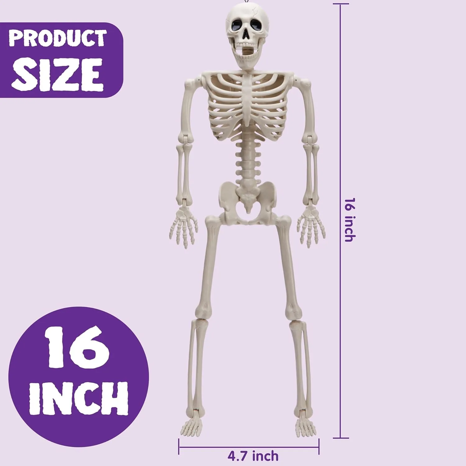 Posable Human Skeleton Model - 16 Inch STEM Anatomy Toy Posable Human Skeleton Model - 16 Inch STEM Anatomy Toy - Image 2
