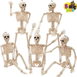 Posable Human Skeleton Model - 16 Inch STEM Anatomy Toy
